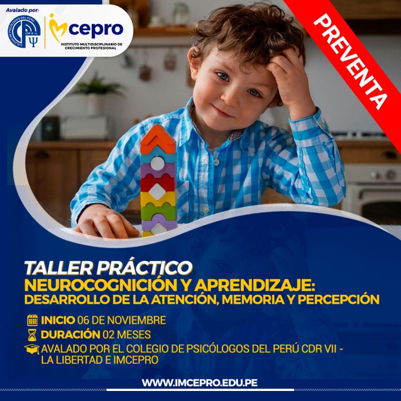Neurocognición y Aprendizaje: Desarrollo de la Atención, Memoria y Percepción
